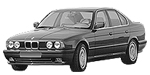 BMW E34 P181A Fault Code